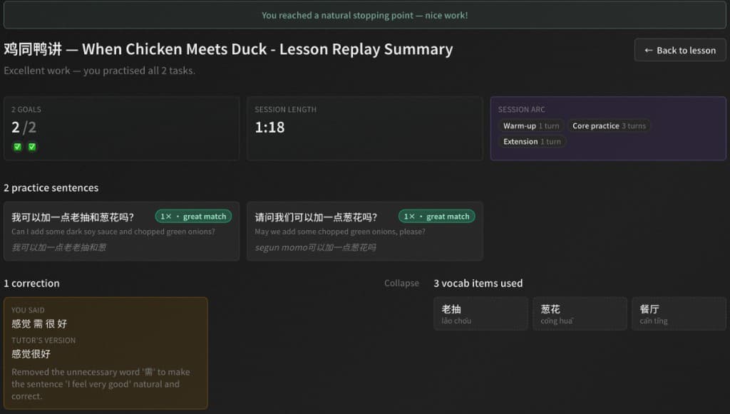 Lesson Replay summary: goals attempted, session length, practice-sentence targets, corrections, and vocabulary used